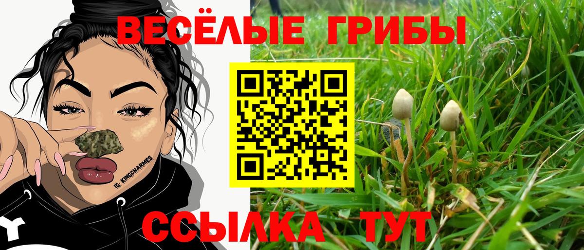 Кувандык  Псилоцибиновые грибы ЛСД  Вход с VPN 